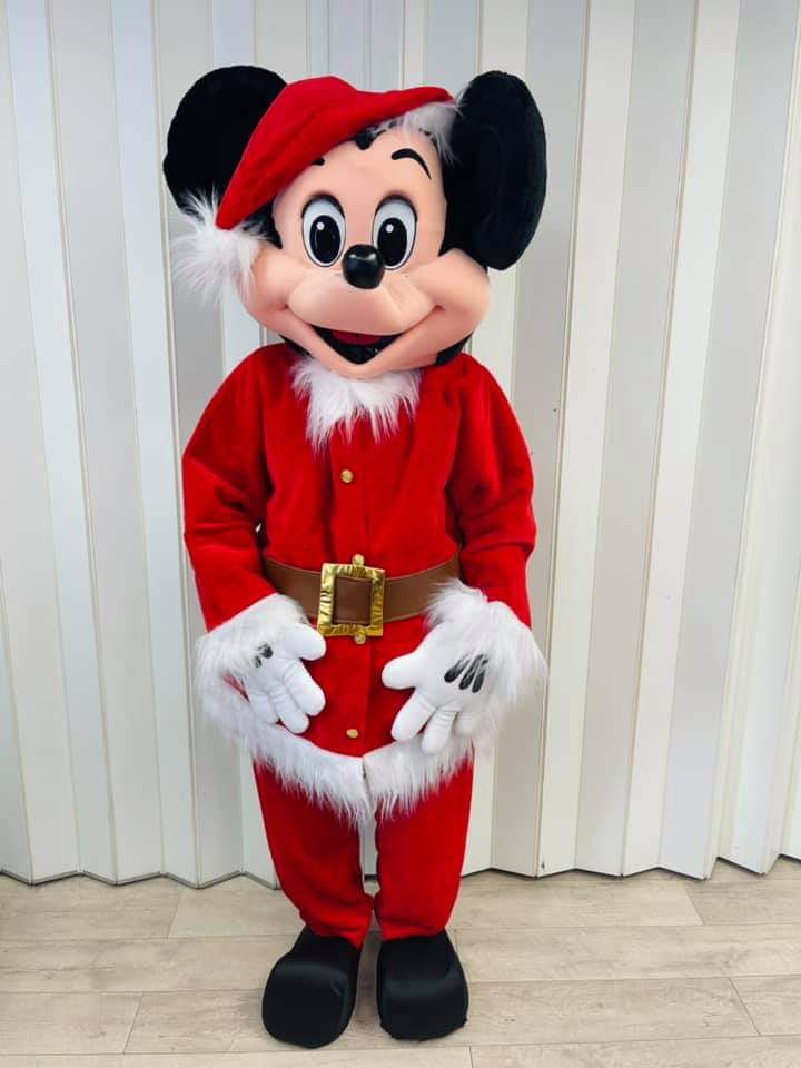 Christmas Mickey Mouse Costume